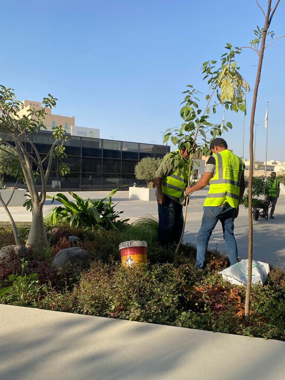 أعمال الحدائق