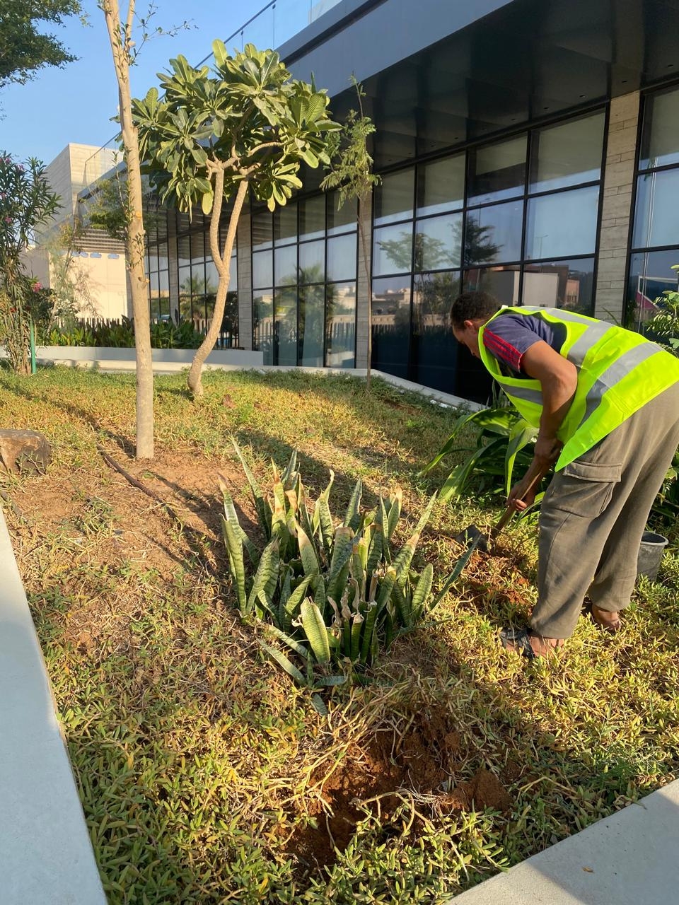 أعمال الحدائق